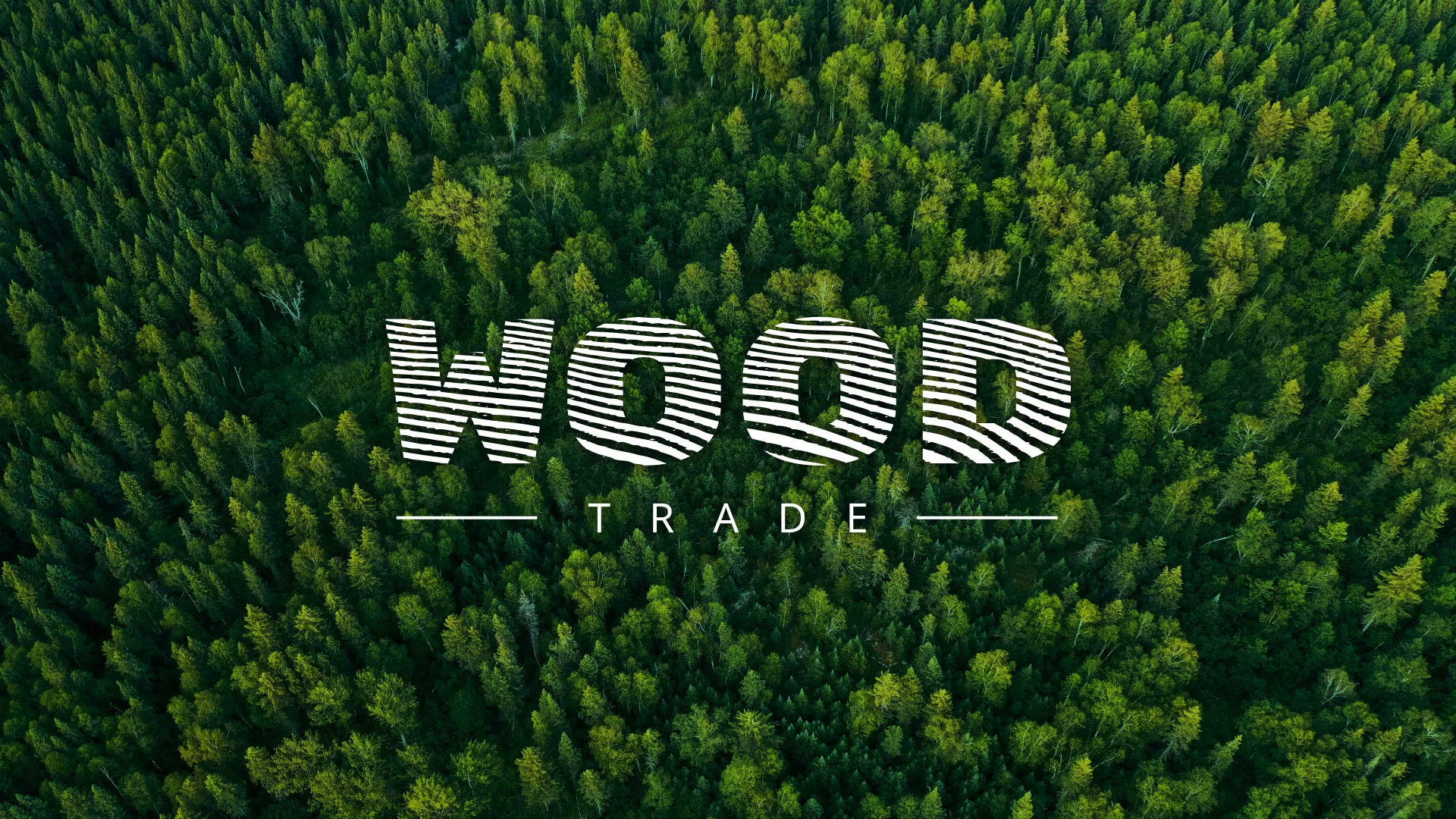Разработка интернет-магазина компании «Wood Trade» в Шахтёрске
